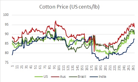 Cotton Price Chart India