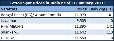 Cotton prices in India