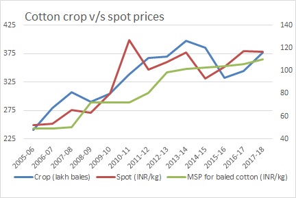 Cotton Crop and Spot