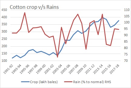 Cotton crop and Rains