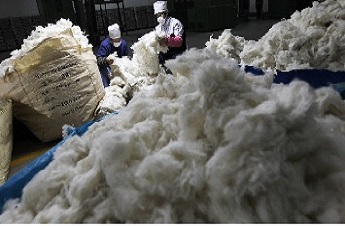 Cotton prices