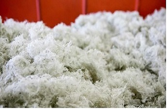 Polyester fibre