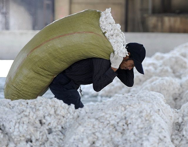 Spot cotton in China