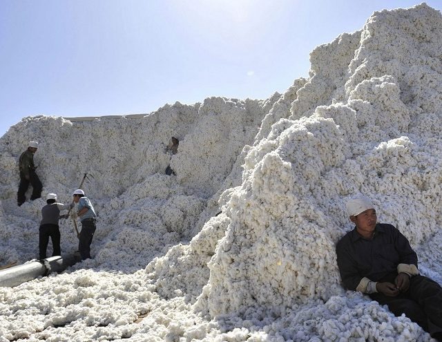 Cotton prices