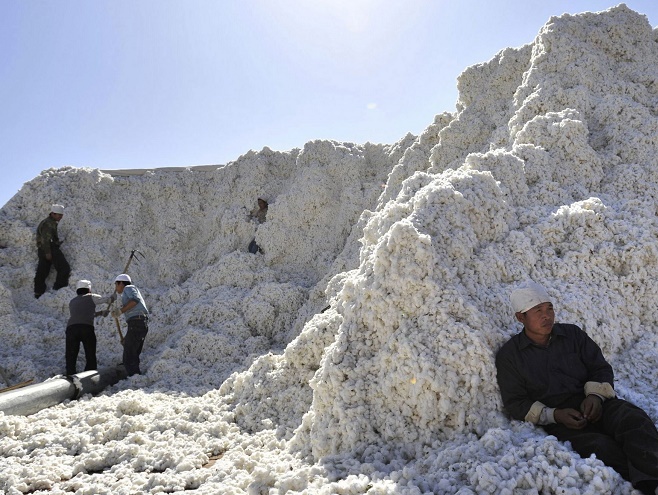 Cotton prices