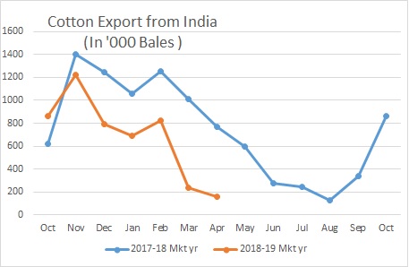 Cotton Exports May 2019